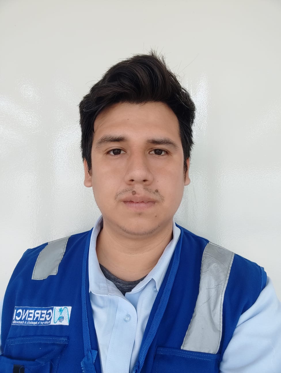 saldaÑa bedia junior rodolfo