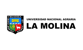 molinaa